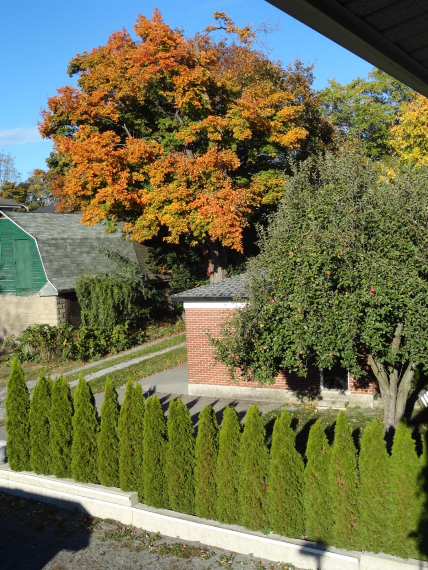Rainbow Bed & Breakfast Niagara Falls Eksteriør billede